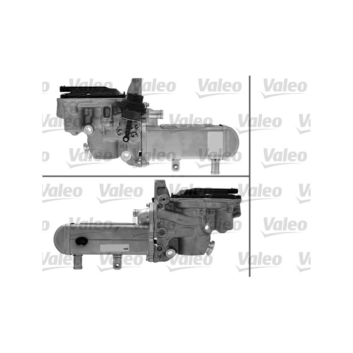 VALEO ORIGINAL TEIL AGR-Modul 700447