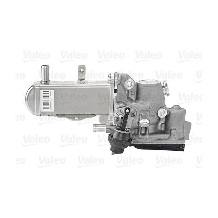 VALEO ORIGINAL TEIL AGR-Modul 700447