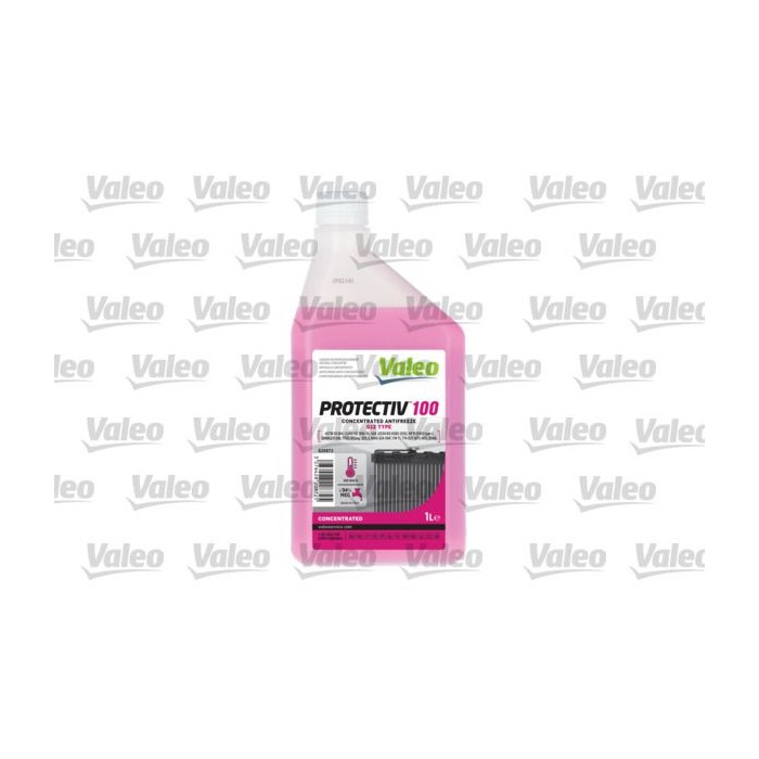 VALEO PROTECTIV 100 Frostschutz 820872