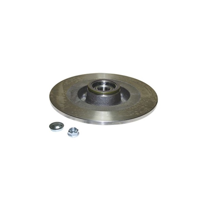 BIRTH Bremsscheibe 3491