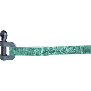 BIRTH Halteschelle 4169