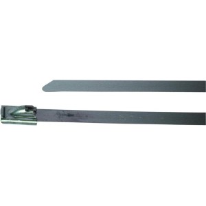 BIRTH Halteschelle 4237