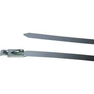 BIRTH Halteschelle 4238