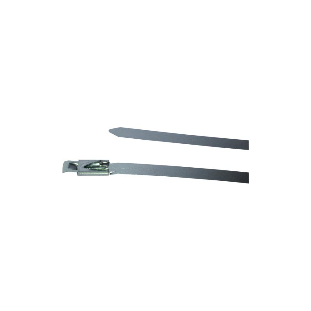 BIRTH Halteschelle 4238