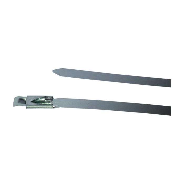 BIRTH Halteschelle 4238