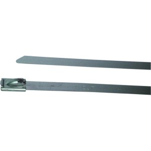 BIRTH Halteschelle 4239