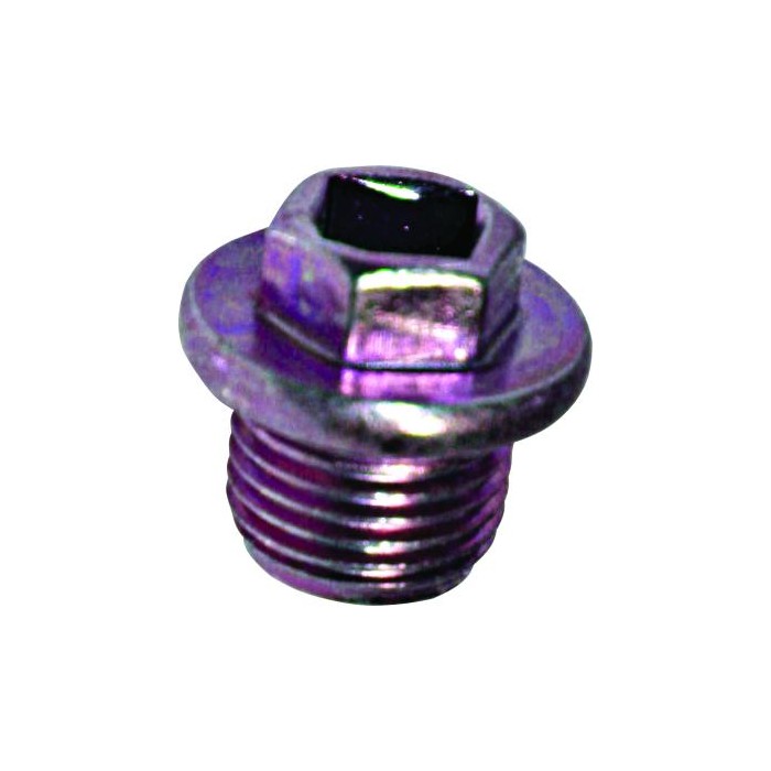 BIRTH Verschlussschraube, Ölwanne 4363