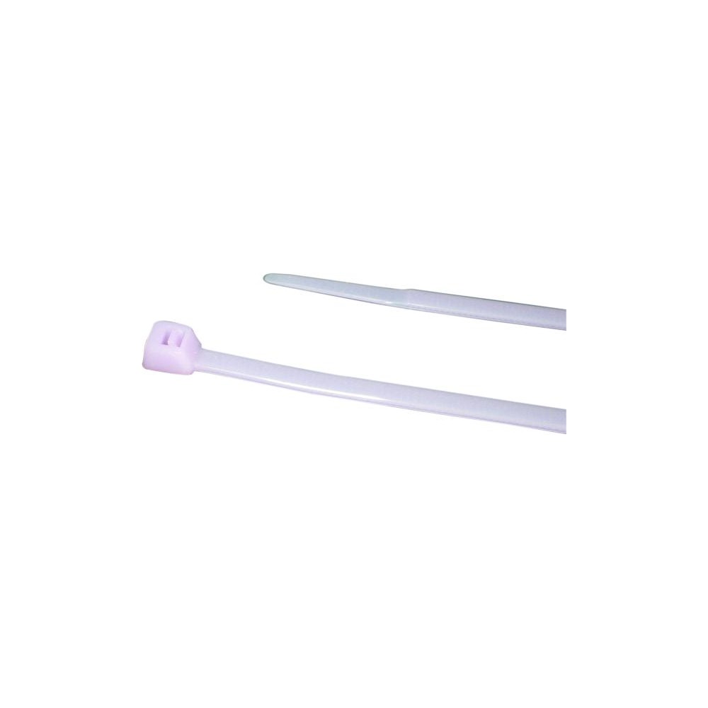 BIRTH Halteschelle 4373