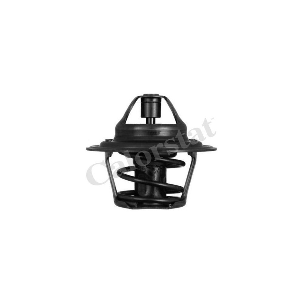 CALORSTAT by Vernet Thermostat, Kühlmittel TH1410.92J