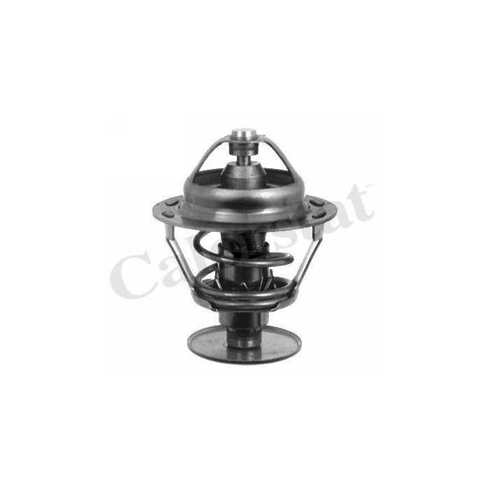 CALORSTAT by Vernet Thermostat, Kühlmittel TH1542.82J
