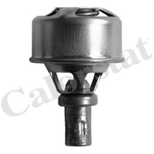 CALORSTAT by Vernet Thermostat, Kühlmittel TH4495.83