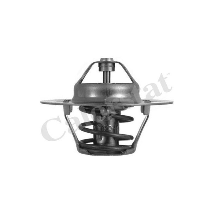 CALORSTAT by Vernet Thermostat, Kühlmittel TH4608.80J