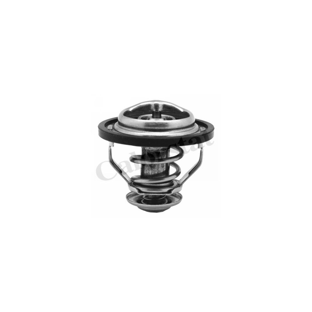 CALORSTAT by Vernet Thermostat, Kühlmittel TH5130.83J