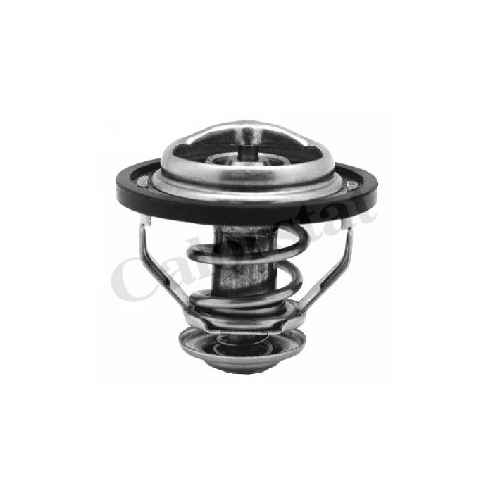 CALORSTAT by Vernet Thermostat, Kühlmittel TH5130.83J