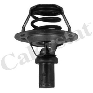 CALORSTAT by Vernet Thermostat, Kühlmittel TH5284.86J