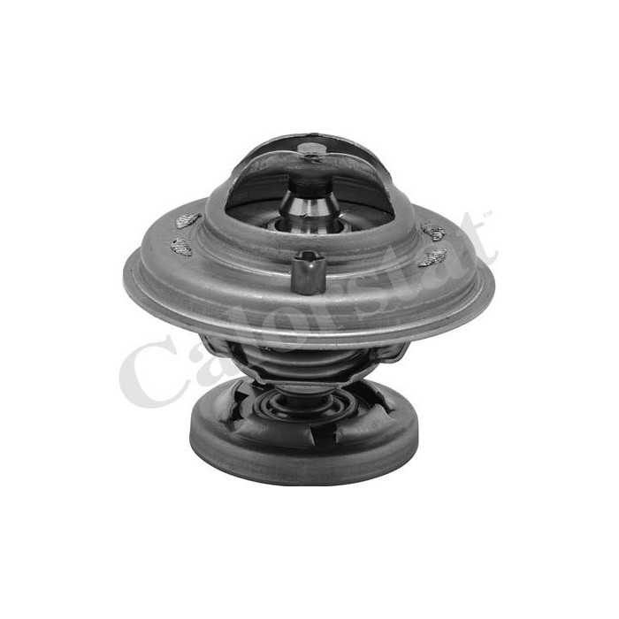 CALORSTAT by Vernet Thermostat, Kühlmittel TH5699.80J