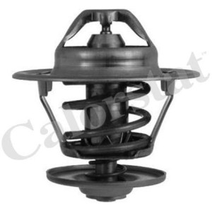 CALORSTAT by Vernet Thermostat, Kühlmittel TH6248.87J