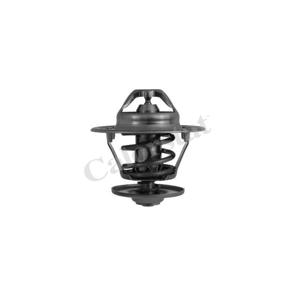 CALORSTAT by Vernet Thermostat, Kühlmittel TH6248.87J