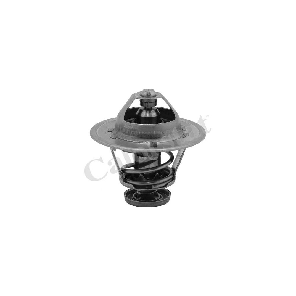 CALORSTAT by Vernet Thermostat, Kühlmittel TH6252.85J