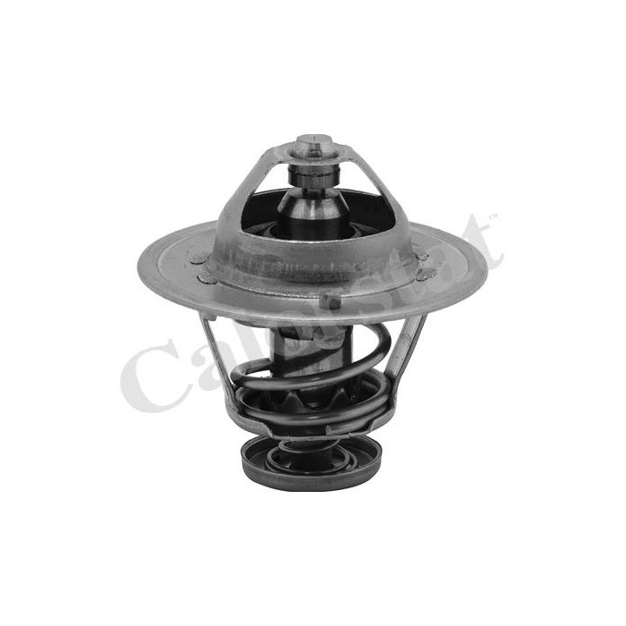 CALORSTAT by Vernet Thermostat, Kühlmittel TH6252.89J