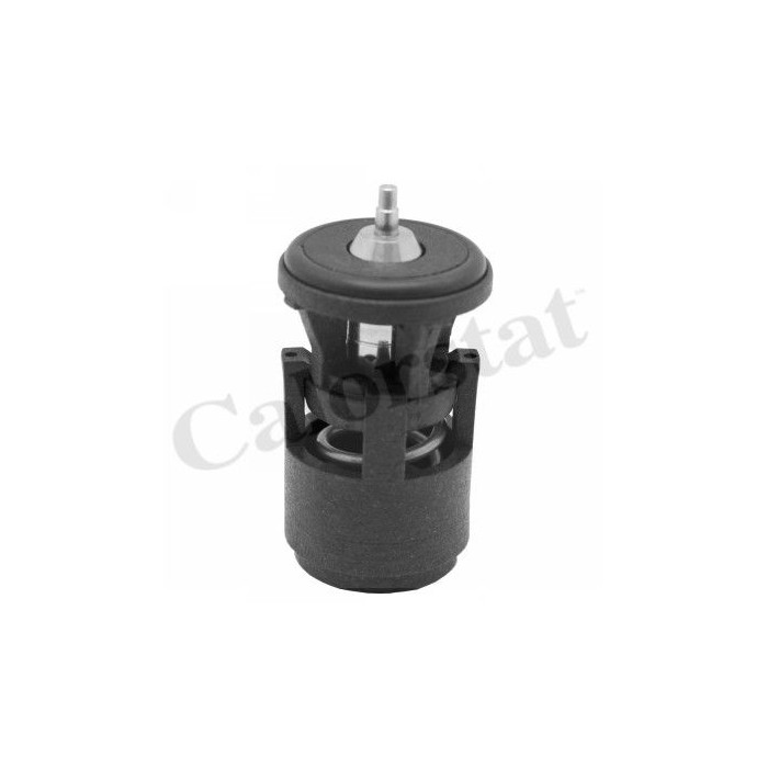 CALORSTAT by Vernet Thermostat, Kühlmittel TH6274.87J