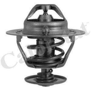 CALORSTAT by Vernet Thermostat, Kühlmittel TH6294.82J