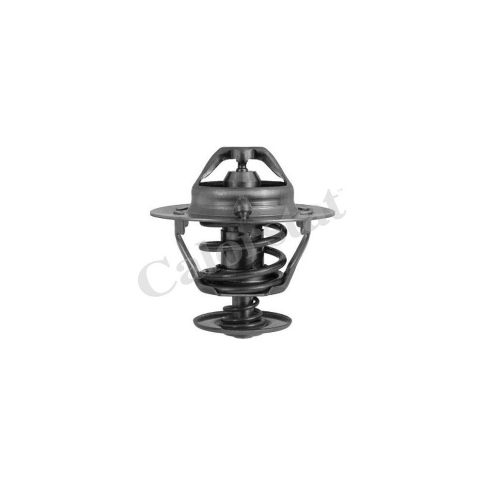 CALORSTAT by Vernet Thermostat, Kühlmittel TH6294.82J