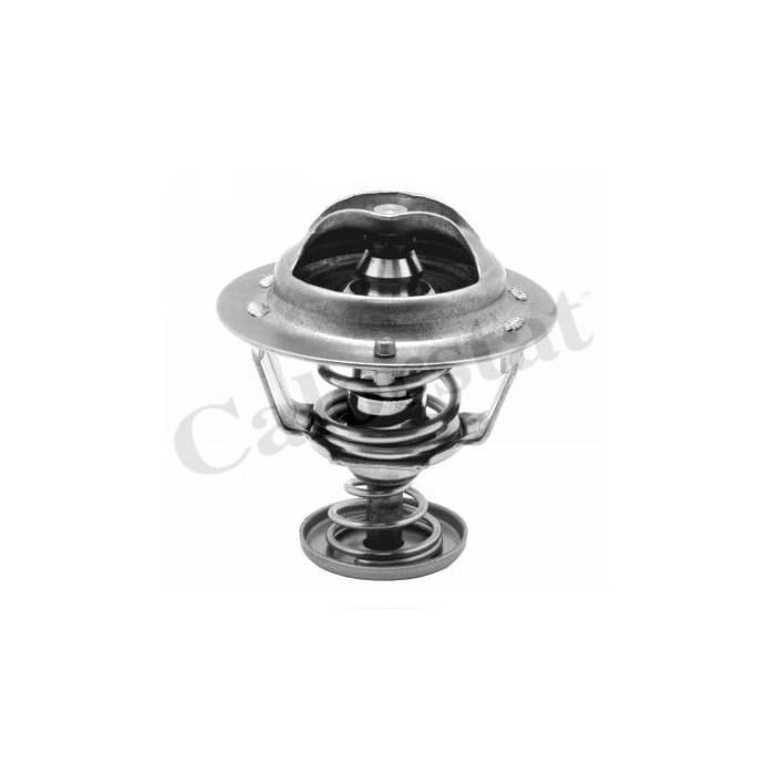 CALORSTAT by Vernet Thermostat, Kühlmittel TH6295.82J