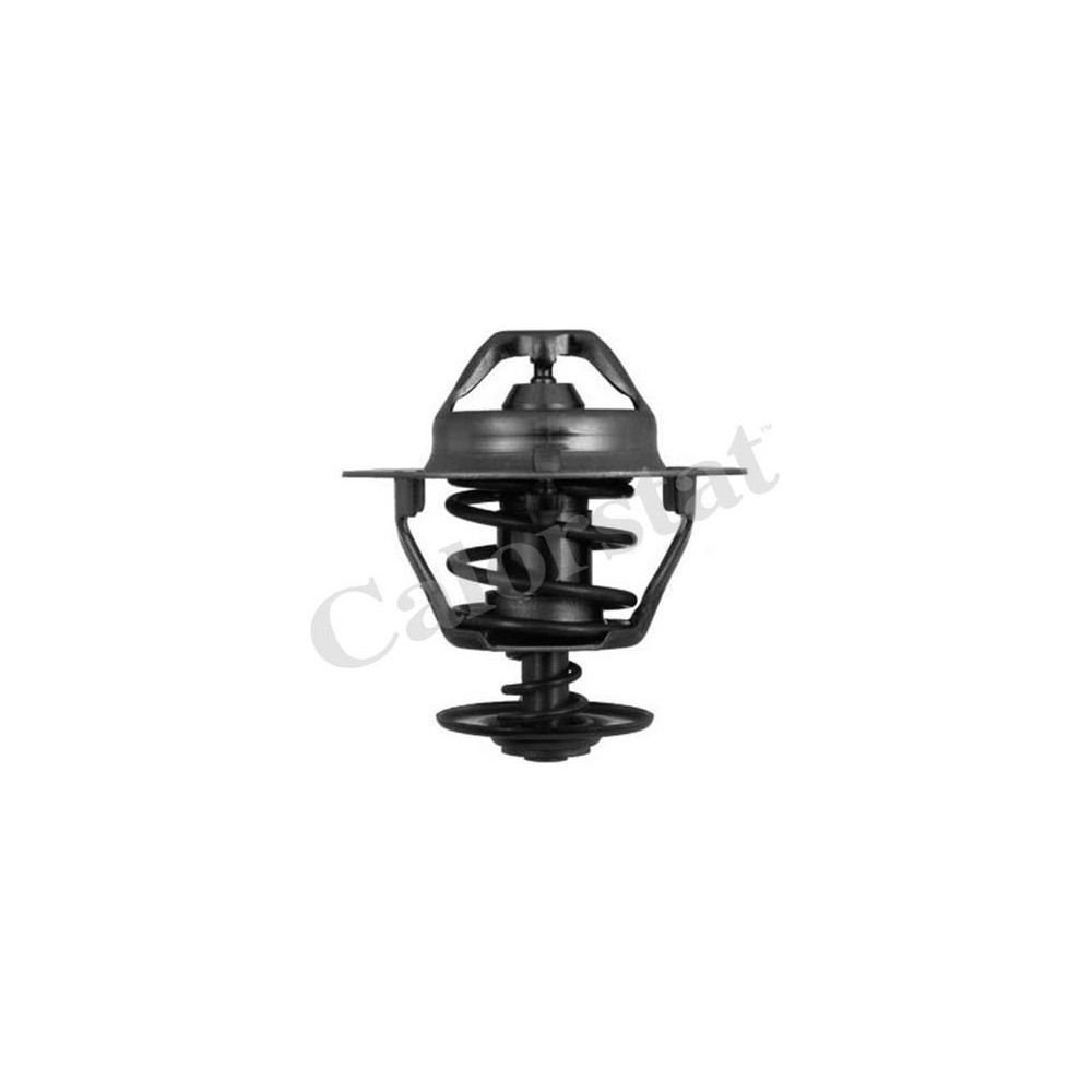 CALORSTAT by Vernet Thermostat, Kühlmittel TH6319.82J