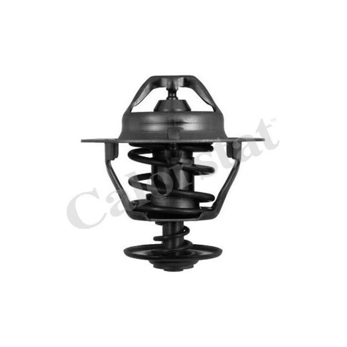CALORSTAT by Vernet Thermostat, Kühlmittel TH6319.85J