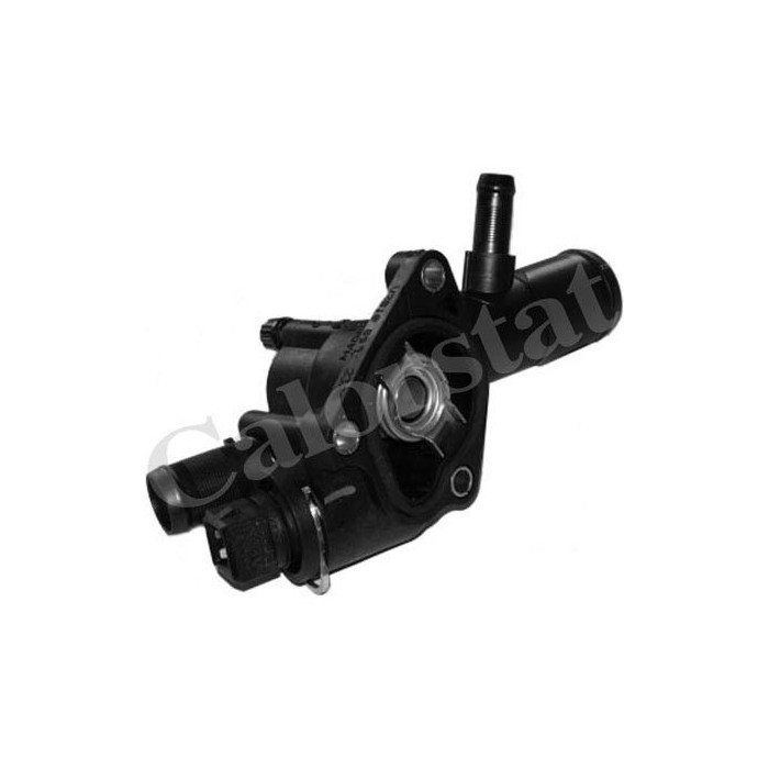 CALORSTAT by Vernet Thermostat, Kühlmittel TH6666.89J