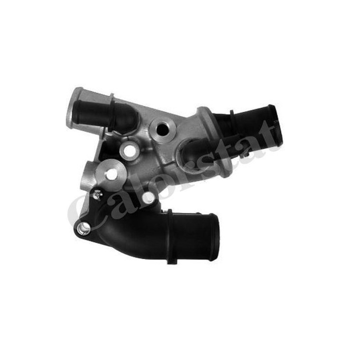 CALORSTAT by Vernet Thermostat, Kühlmittel TH6829.80J