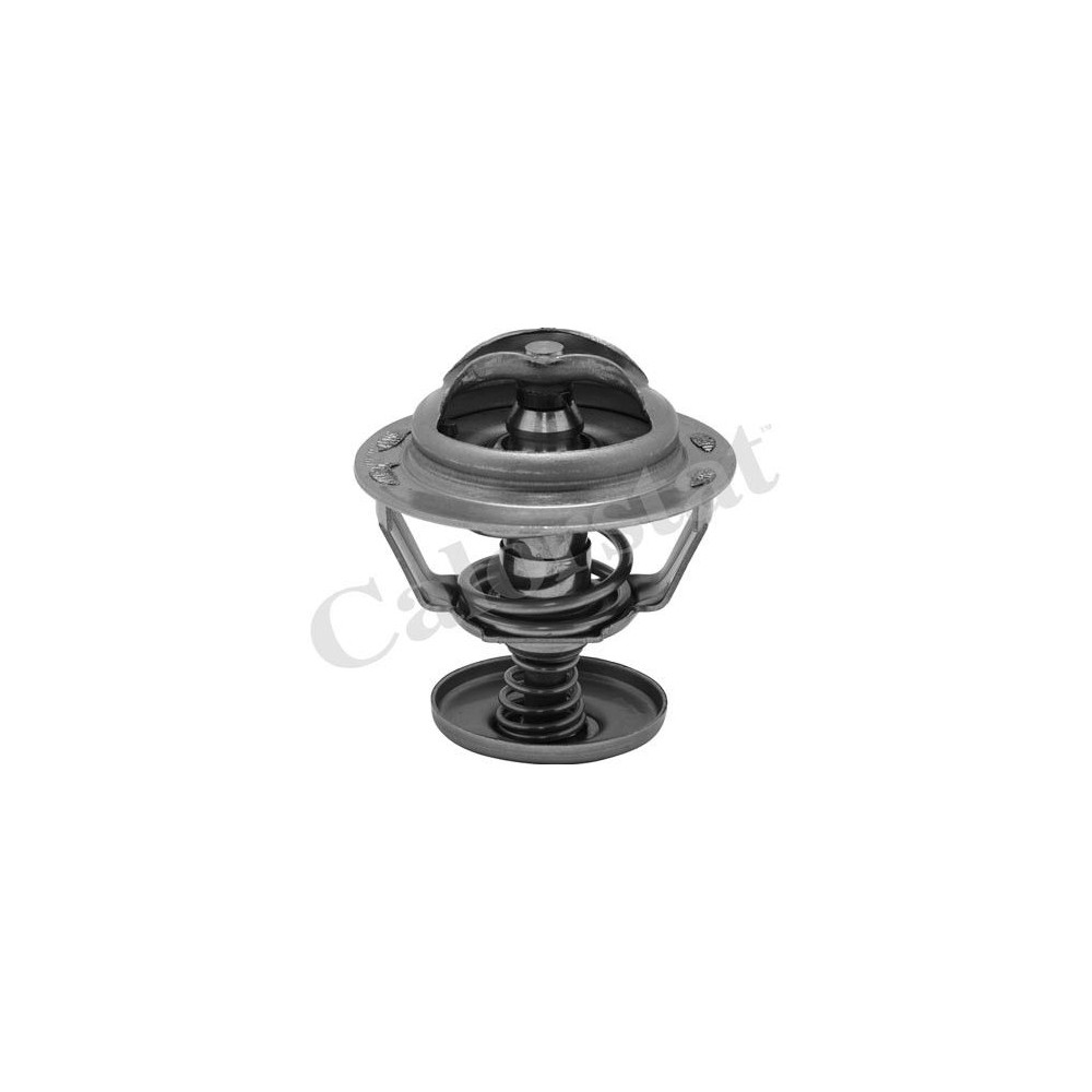 CALORSTAT by Vernet Thermostat, Kühlmittel TH6838.82J