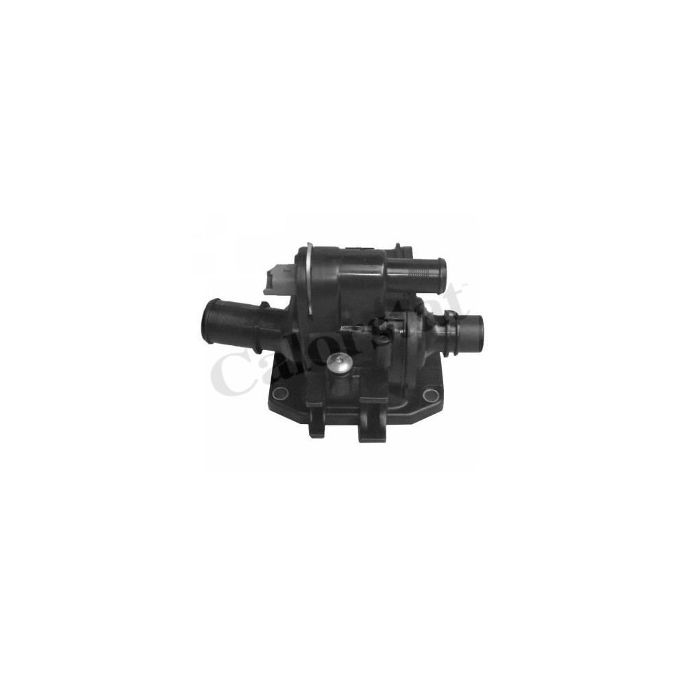 CALORSTAT by Vernet Thermostat, Kühlmittel TH6874.83J