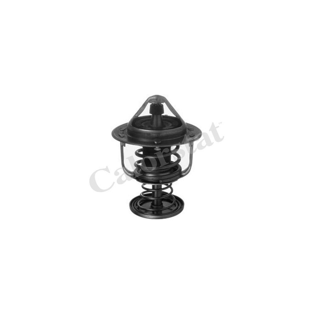 CALORSTAT by Vernet Thermostat, Kühlmittel TH6876.80J