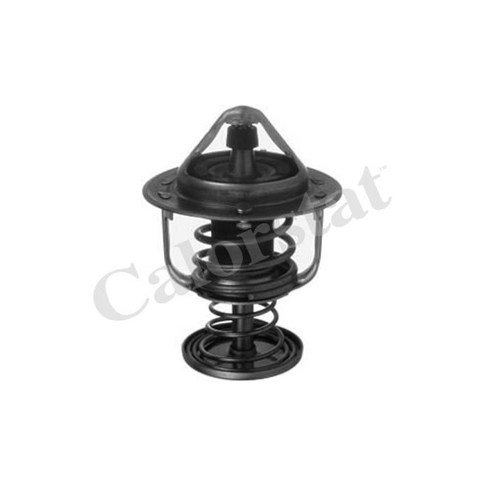 CALORSTAT by Vernet Thermostat, Kühlmittel TH6876.80J