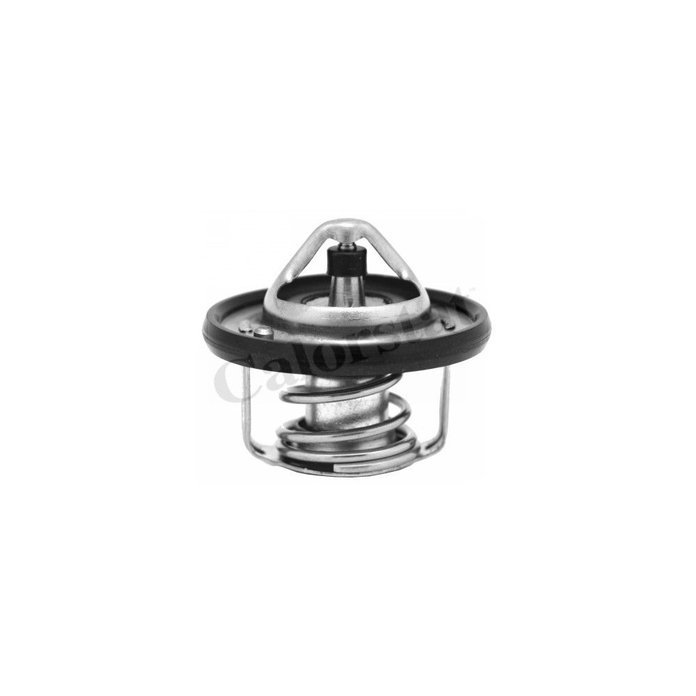 CALORSTAT by Vernet Thermostat, Kühlmittel TH6949.82J