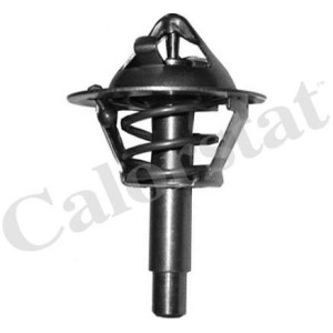 CALORSTAT by Vernet Thermostat, Kühlmittel TH6962.90J