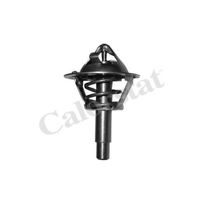 CALORSTAT by Vernet Thermostat, Kühlmittel TH6962.90J