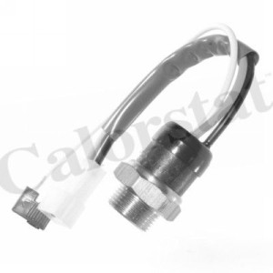 CALORSTAT by Vernet Temperaturschalter, Kühlerlüfter TS1900