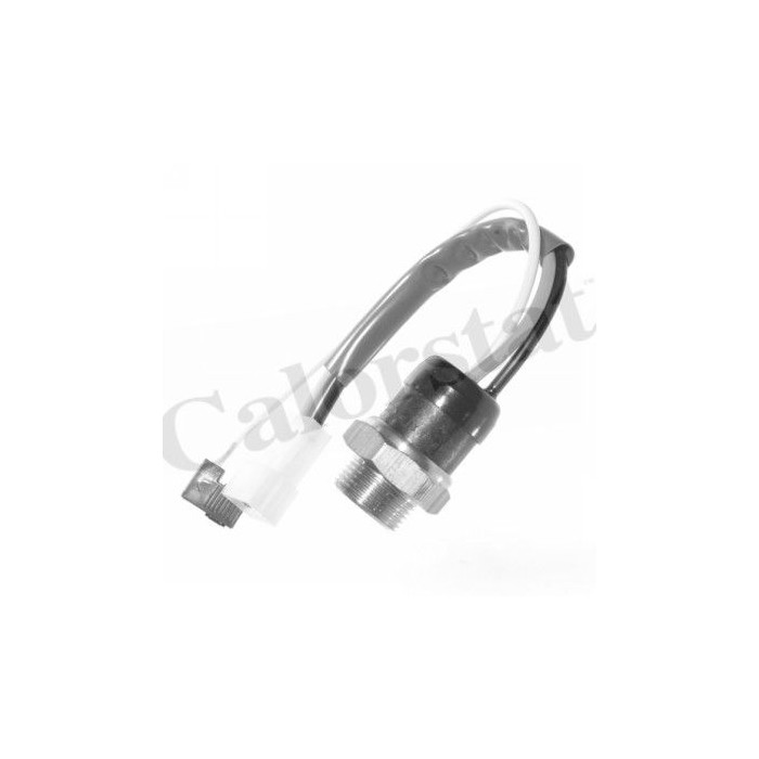 CALORSTAT by Vernet Temperaturschalter, Kühlerlüfter TS1900