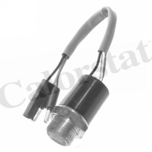 CALORSTAT by Vernet Temperaturschalter, Kühlerlüfter TS1956