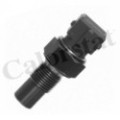CALORSTAT by Vernet Sensor, Kühlmitteltemperatur WS2502
