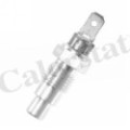 CALORSTAT by Vernet Sensor, Kühlmitteltemperatur WS2536