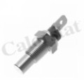CALORSTAT by Vernet Sensor, Kühlmitteltemperatur WS2537