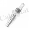 CALORSTAT by Vernet Sensor, Kühlmitteltemperatur WS2538
