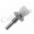 CALORSTAT by Vernet Sensor, Kühlmitteltemperatur WS2580