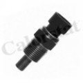 CALORSTAT by Vernet Sensor, Kühlmitteltemperatur WS2588