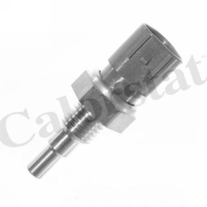 CALORSTAT by Vernet Sensor, Kühlmitteltemperatur WS2938