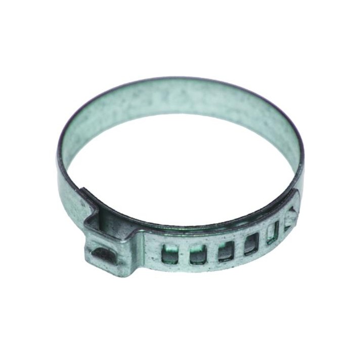 BIRTH Halteschelle 4976